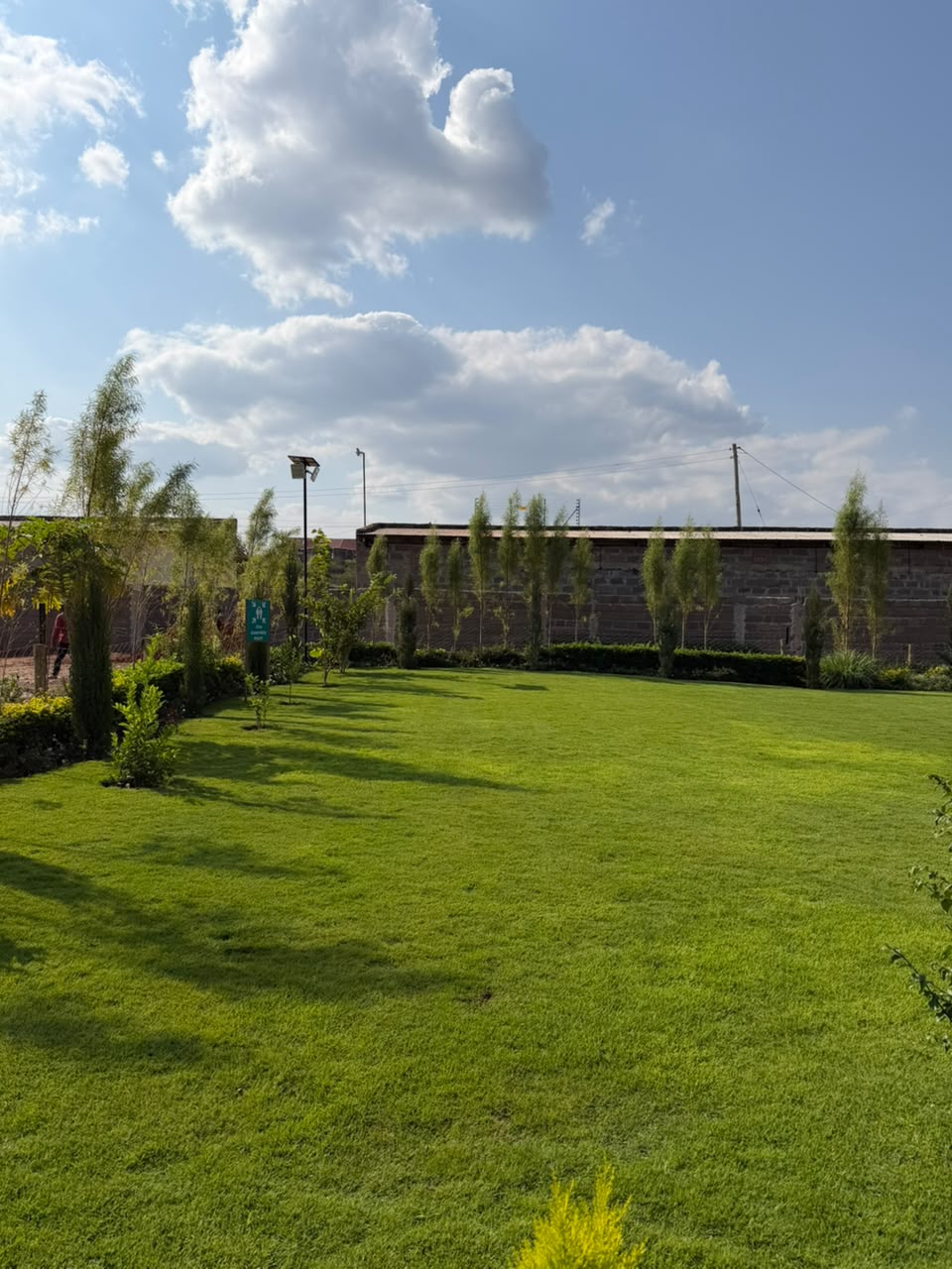 Open lawn with young trees, ideal for outdoor team building activities and breakout sessions