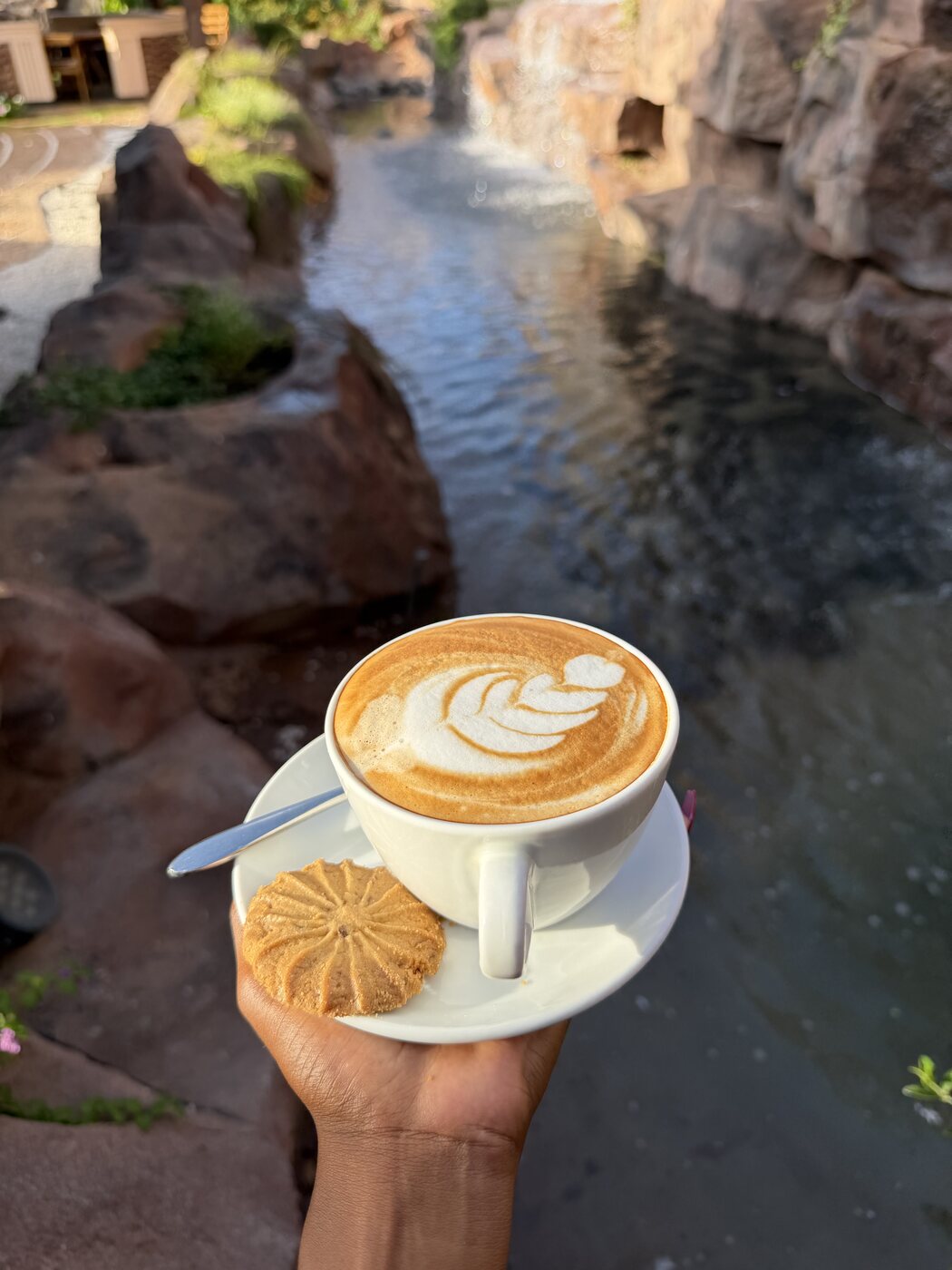 Double cappuccino with rosetta latte art and a biscuit, held beside the rock water feature