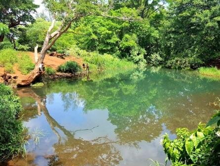 Tranquil spring-fed pool surrounded by lush greenery at Njoro Springs, Taveta.